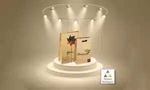 Sacola de papel personalizada Bergamo Embalagens